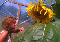 plant picture
