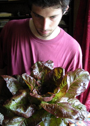 plant picture