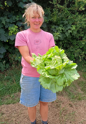 plant picture