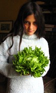 plant picture